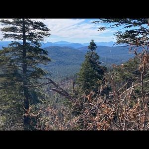 Meet your Posher, Sierra